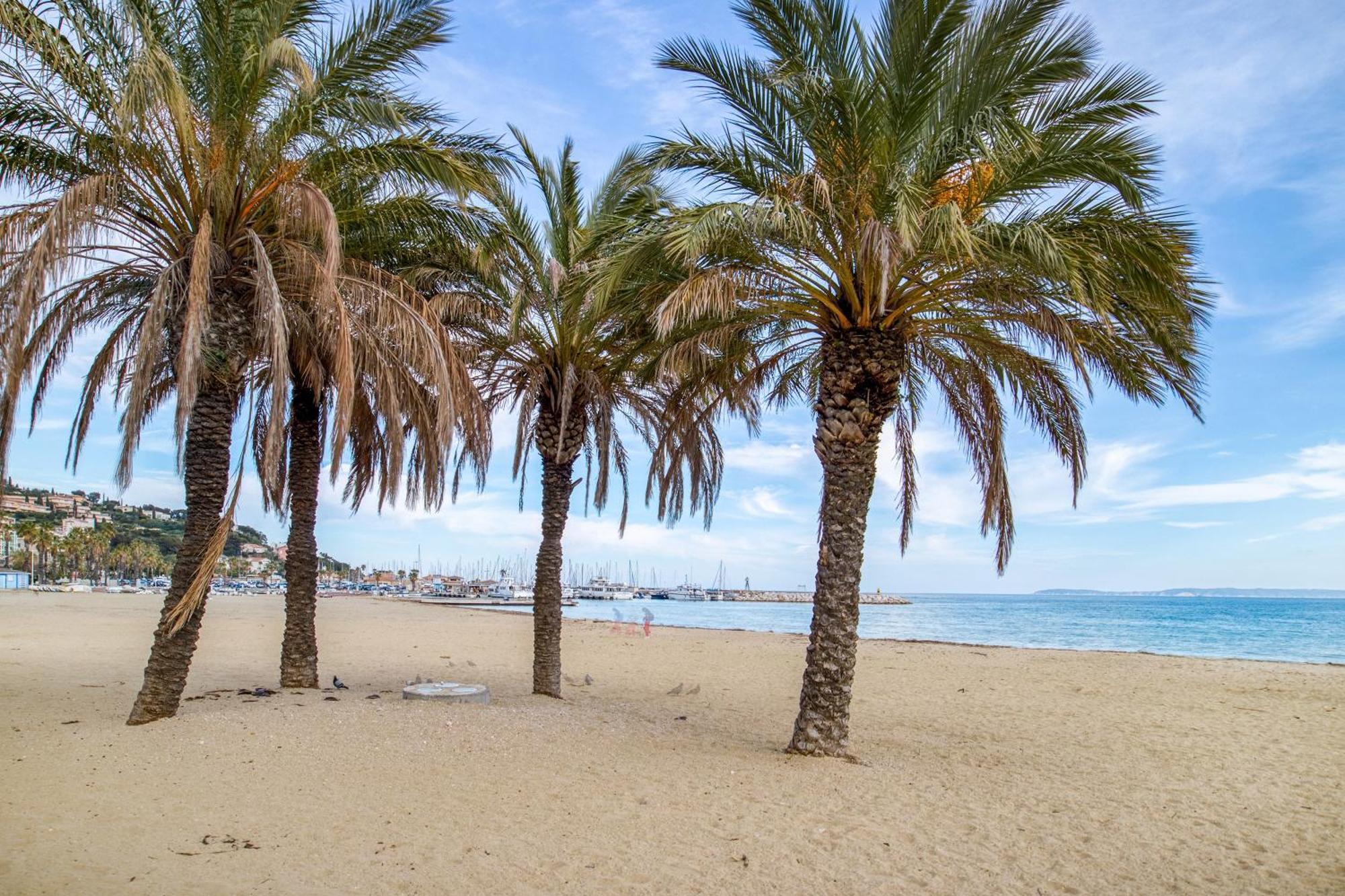 Nouvelle Ere - Appt A Moins D'Un Km De La Plage Le Lavandou Zewnętrze zdjęcie